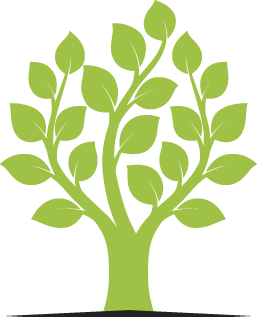 Residential Tree Pruning