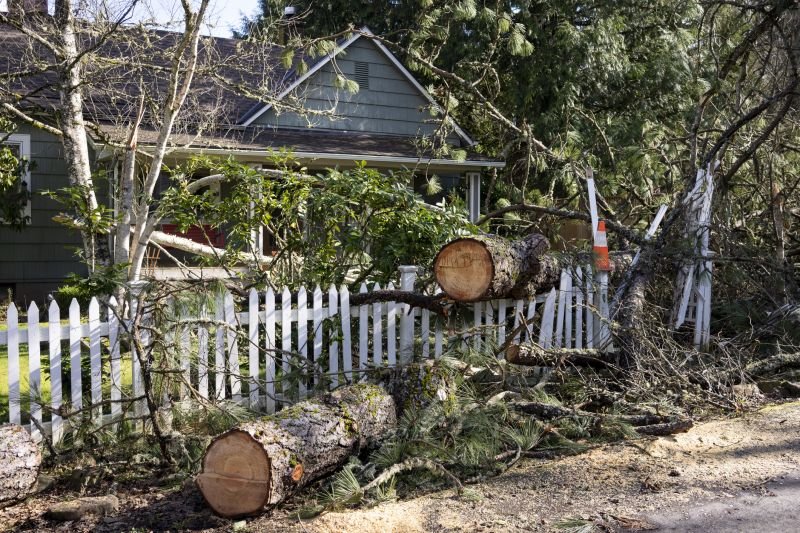 Fallen Tree Removal in Bucks County, PA