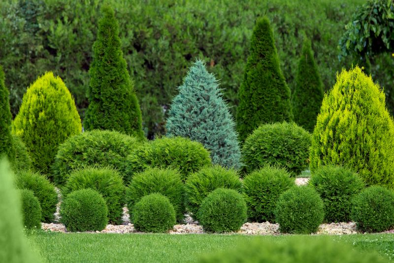 Hedge Shaping Service in Honolulu, HI