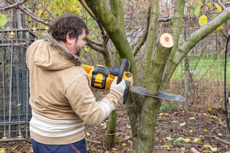 Residential Tree Pruning