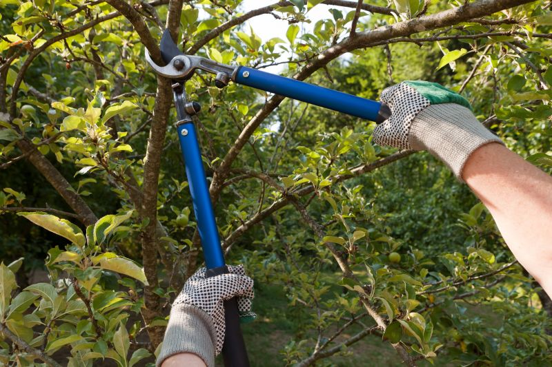 Pruning Equipment