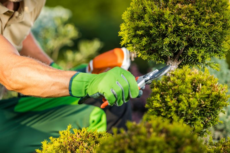 Landscape Maintenance Services